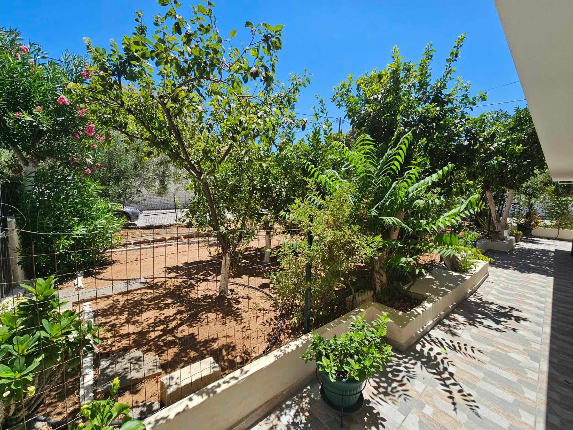 Apartament Melograno Markópoulon Zewnętrze zdjęcie