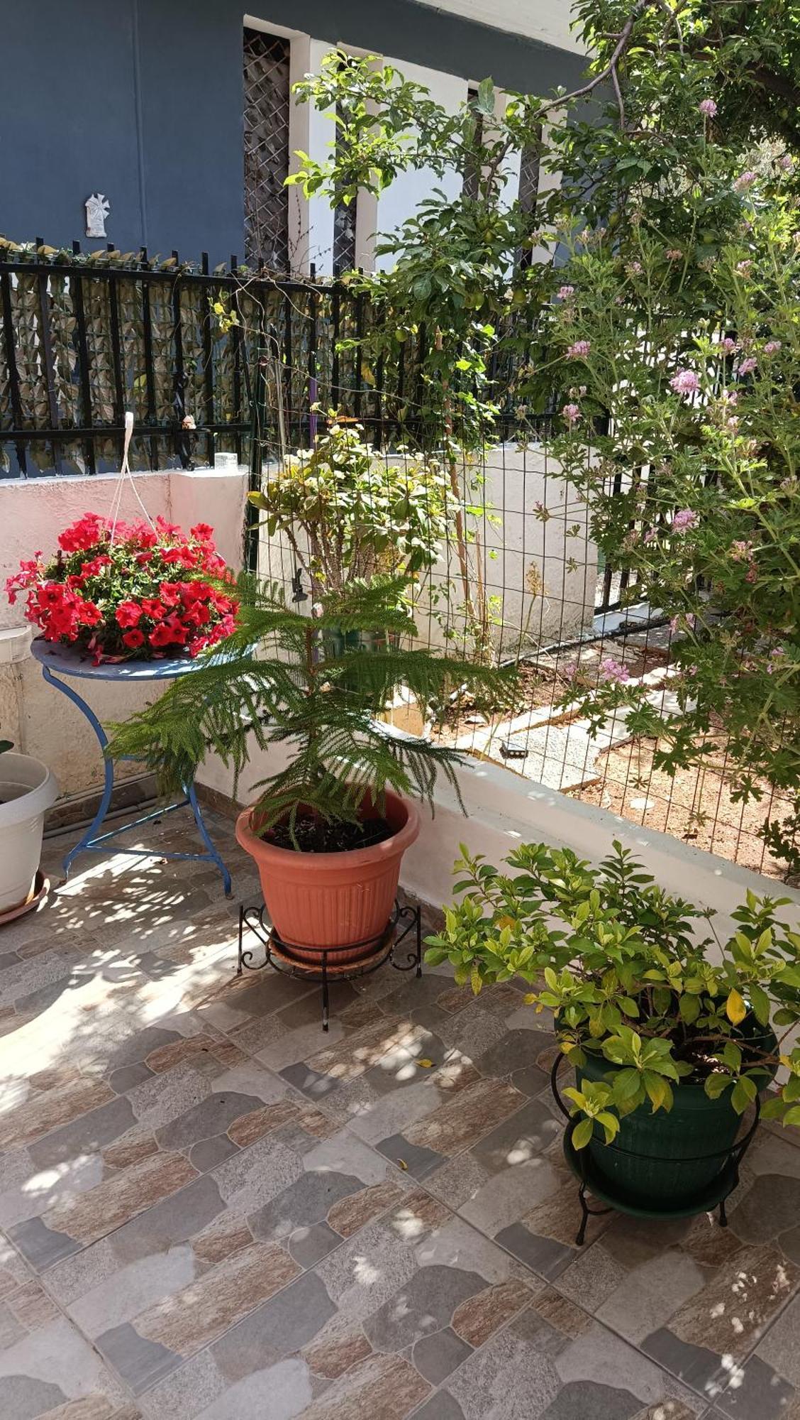 Apartament Melograno Markópoulon Zewnętrze zdjęcie